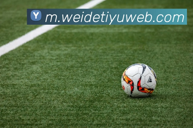 App Interface Preview