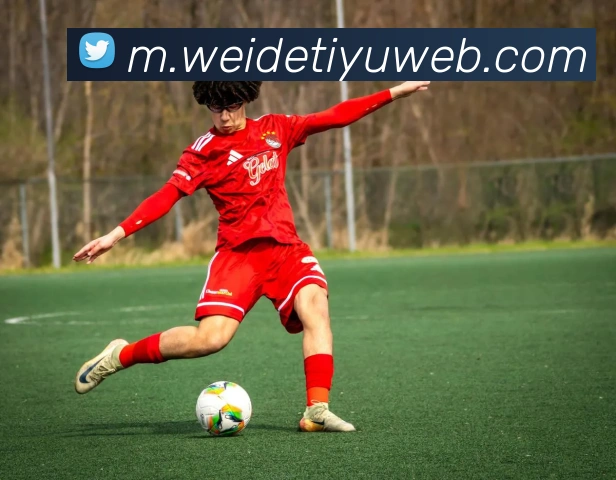 伟德体育APP 封面图