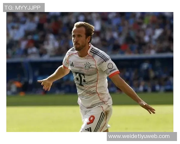 拜仁与多特争相关注霍芬海姆新星阿斯拉尼专注当下自然发展